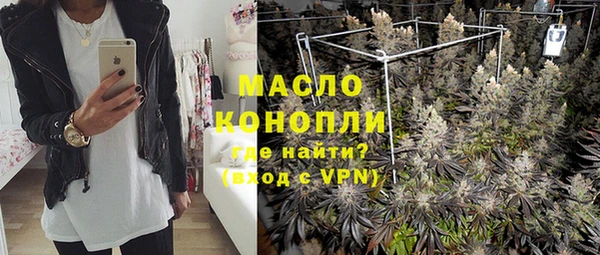 прущая мука Вяземский