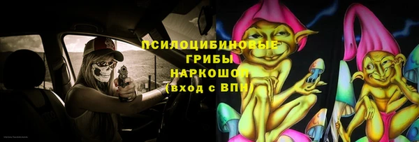 МДПВ Волоколамск