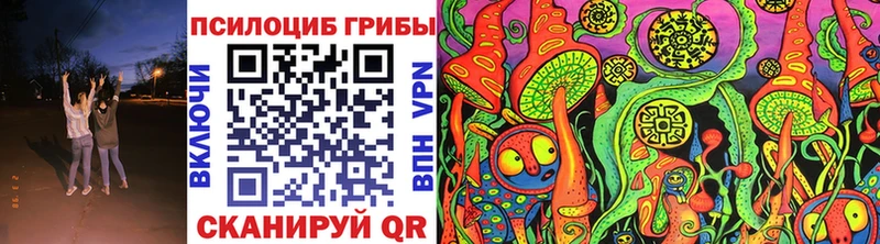 MEGA как войти  Гусиноозёрск  Галлюциногенные грибы Magic Shrooms 